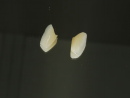 16f168b86904999c2c9dac1fb9c62dd0.png